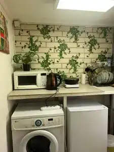 на Гаях - 6