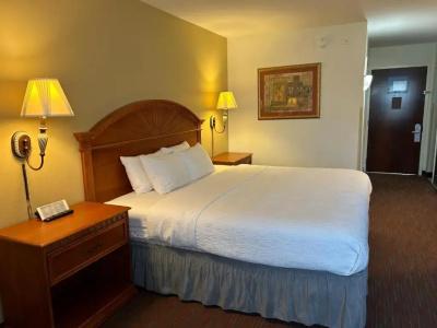 Orlando Palms - 42