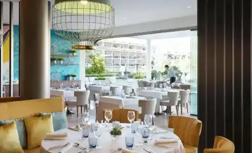 Zafiro Palace Palmanova - 12