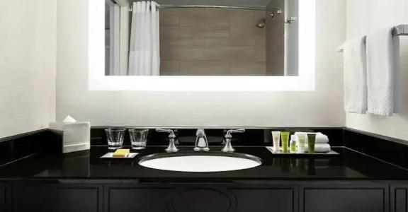 Hilton New Orleans / St. Charles Avenue - 63