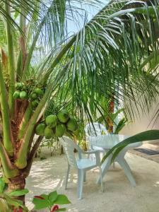 Sunrise Inn - 13