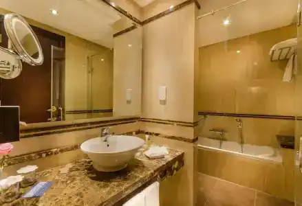 Hilton Alexandria Green Plaza - 36