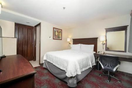 Hampton Inn & Suites Mexico City - Centro Historico - 8