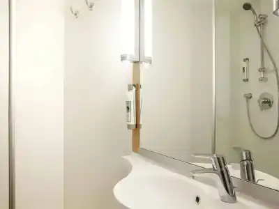 Ibis Cornella - 32
