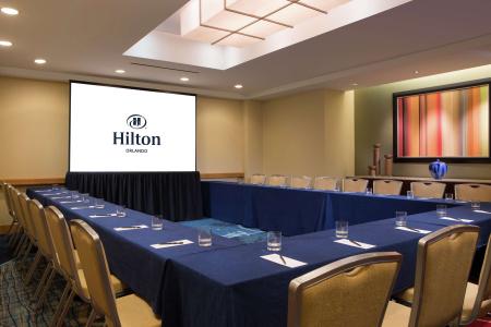 Hilton Orlando - 15