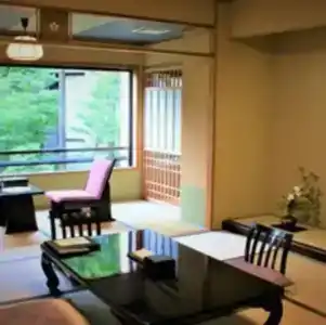 Nikko Hoshino Yado - 39