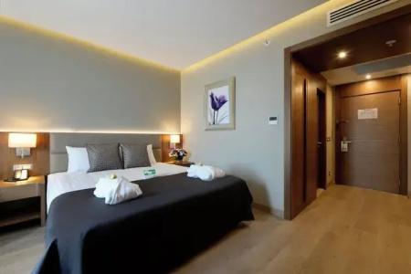 Holiday Inn Bursa - City Centre, An Ihg - 97