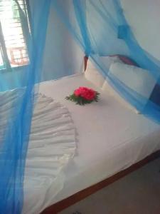 Ocean View - 62