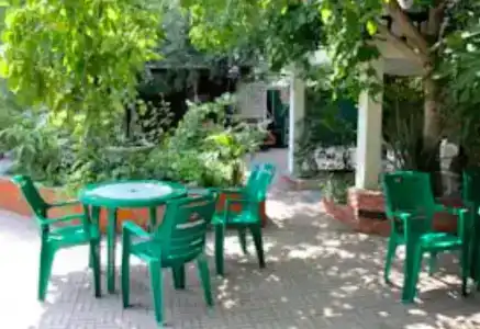У совы - 15