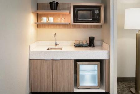 SpringHill Suites by Marriott Dallas Downtown / West End - 71