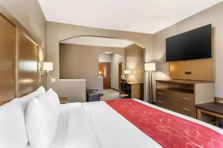 Comfort Suites Bush Intercontinental Airport - 25