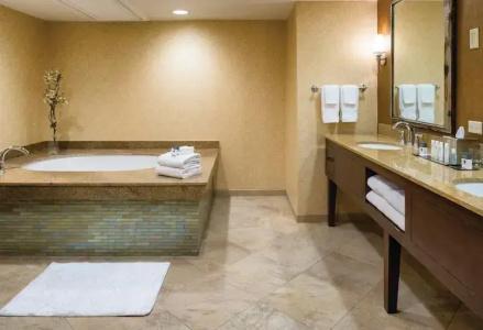 DoubleTree by Hilton Seattle Airport - 50