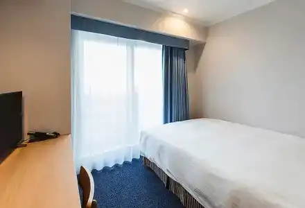 Sotetsu Fresa Inn Tokyo-Akasaka - 36