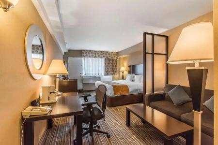 Comfort Suites Downtown - 27