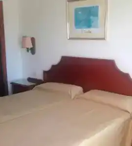 Relaxia Olivina - 29