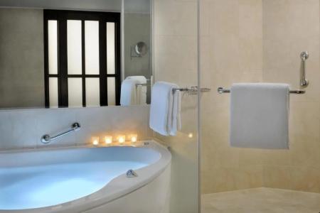 The Bristol by Royal Orchid Management - 46