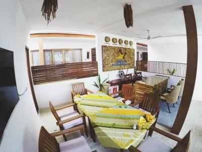 Dhiffushi White Sand Beach - 12