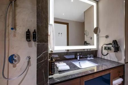 Tbilisi Philharmonic by Mercure - 42