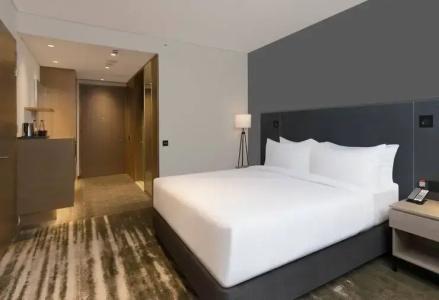 Hilton Garden Inn Bengaluru Embassy Manyata Business Park - 27