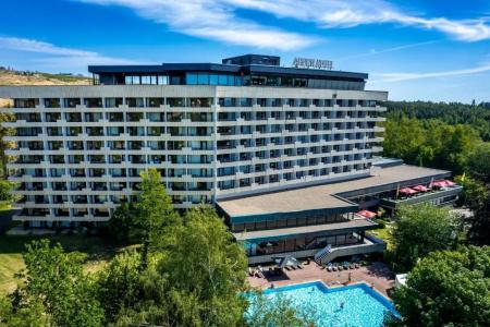 Ahorn Harz Braunlage - 18