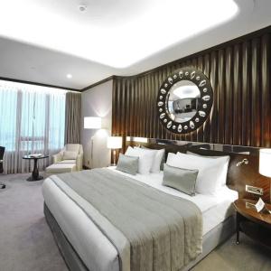 Crowne Plaza Bursa Convention Center & Thermal Spa, An Ihg - 37