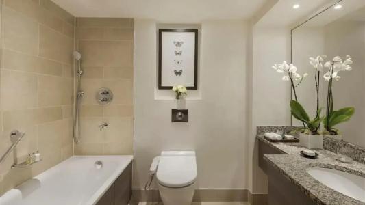 Hyatt Regency London - The Churchill - 95