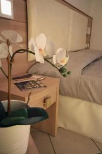 Continental & Residence - 22