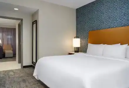 Embassy Suites - 42