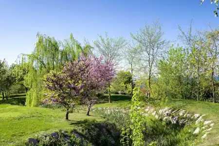 Parc Germano Suites & - 23