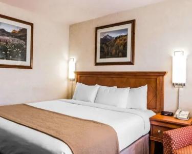 Quality Inn - 40