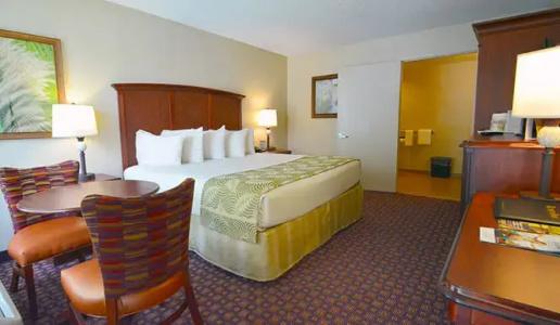 Rosen Inn Closest to Universal - 65