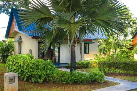 Anelia Resort & Spa - 58