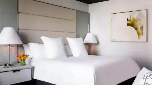 Four Seasons Atlanta - 29