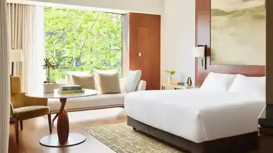 Park Hyatt Zurich – City Center Luxury - 67