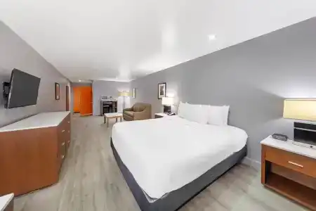Blvd & Spa - Walking Distance To Universal Studios Hollywood - 94