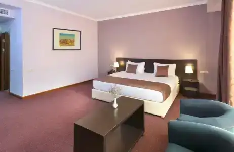 Ani Central Inn - 62
