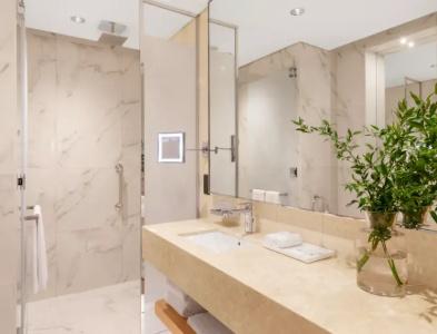 Adagio Premium The Palm - 35