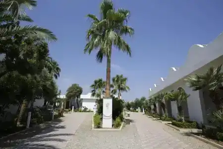 Garden Ripa - 31