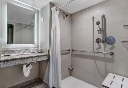 Embassy Suites by Hilton Seattle - 48