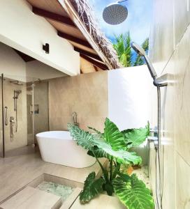 Cocogiri Island Resort Maldives - 8