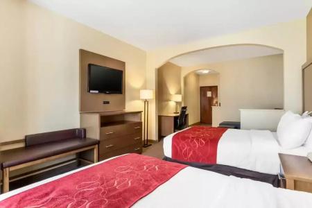 Comfort Suites Bush Intercontinental Airport - 29