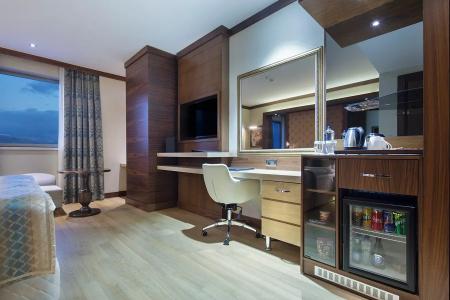 Grand Millenium - 50