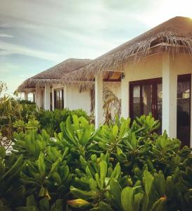 Cocogiri Island Resort Maldives - 18