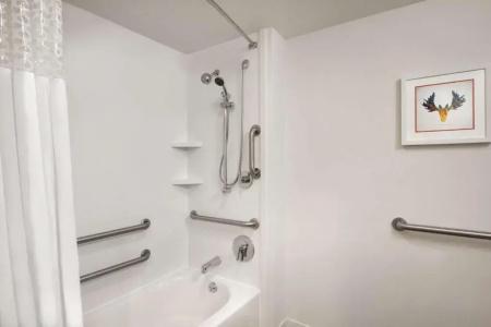 Hampton Inn Atlanta-Buckhead - 32