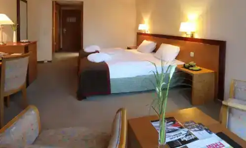 Dolce by Wyndham Bad Nauheim - 30