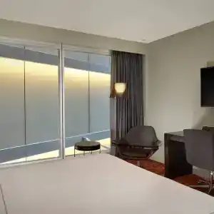 Park Plaza Westminster Bridge London - 86