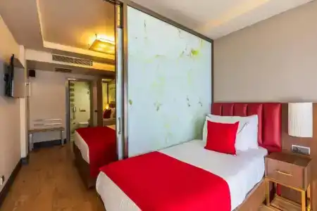 Ramada by Wyndham Istanbul Pera - 115