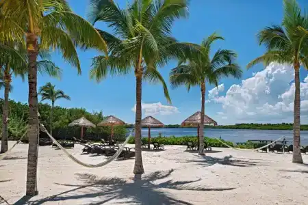 The Westin Resort & Spa Cancun - 37