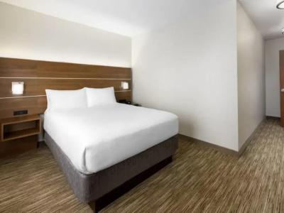 Holiday Inn Express & Suites-Yosemite Park Area, an IHG - 33