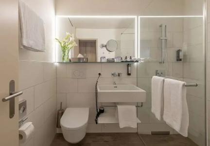 Sunstar & SPA Grindelwald - 66
